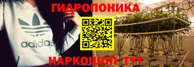 прущие грибы Краснокаменск