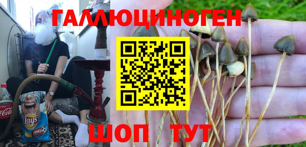 Галлюциногенные грибы Psilocybe  Псилоцибиновые грибы Psilocybine cubensis  Вход с VPN  Азов 